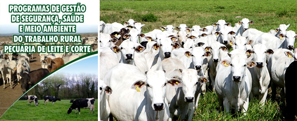 Pecuária – Programas de Gestão de Segurança, Saúde e Meio Ambiente do Trabalho Rural