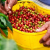 cafe-colombia