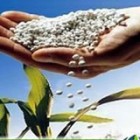 Recorde nas vendas de fertilizantes em outubro