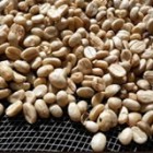 Preços do Café Robusta e Arábica não devem cair mais