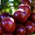 graos-cafe graos-cafe