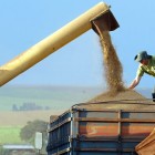 , Safra 12/13 do Brasil crescerá 13% ante 11/12