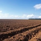 , Arrendamento de terra é opção para aproveitar ‘boom’ da soja