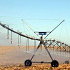 , Minas Gerais adotará Vazio Sanitário para o Feijão