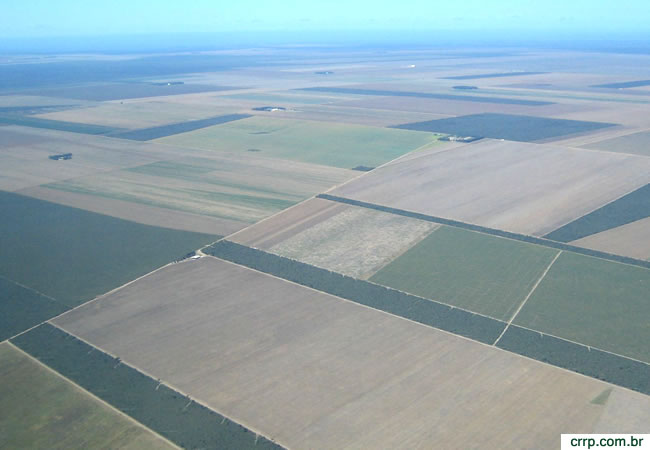 lavouras-maranhao