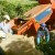 reportagem-globo-rural-colheita-cafe reportagem-globo-rural-colheita-cafe