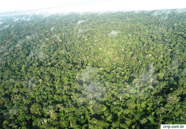 codigo-florestal-grande