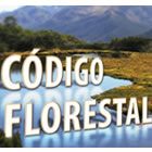 , Em Brasília ambientalistas cobram aplicação do Código Florestal