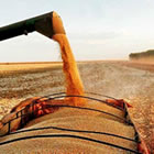 Agricultura puxa alta do PIB, mas infraestrutura limita crescimento