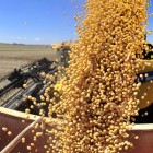 , Preços ao produtor brasileiro sobem 1,48% em agosto