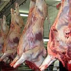 , Produção de carne bovina crescerá 47% até 2050
