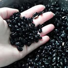 , Feijão preto pode ser boa alternativa para produtores